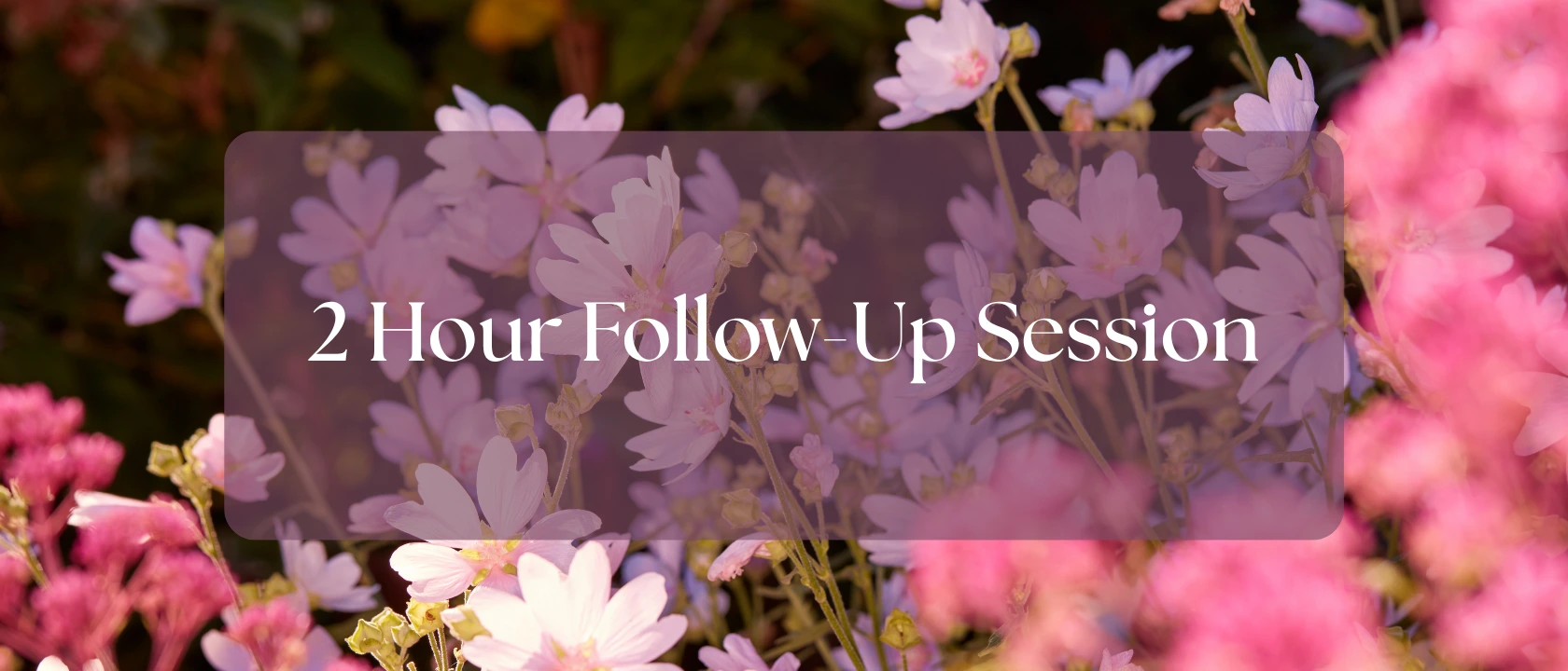 2 Hours Follow-Up Session