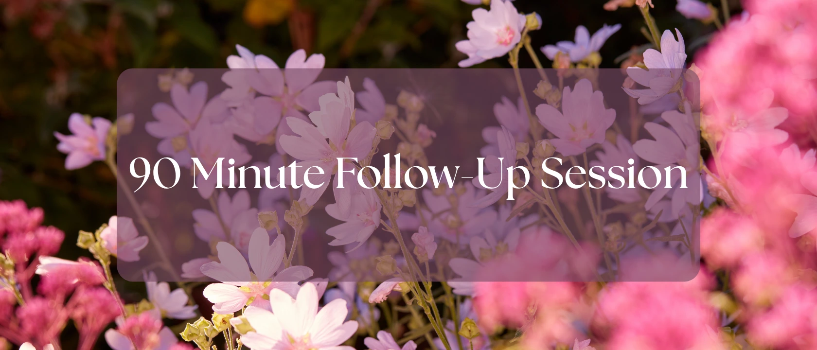 90 Minute Follow-Up Session